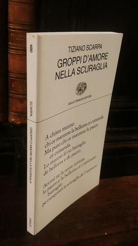 Tiziano scarpa groppi amore - groppi, d'amore
